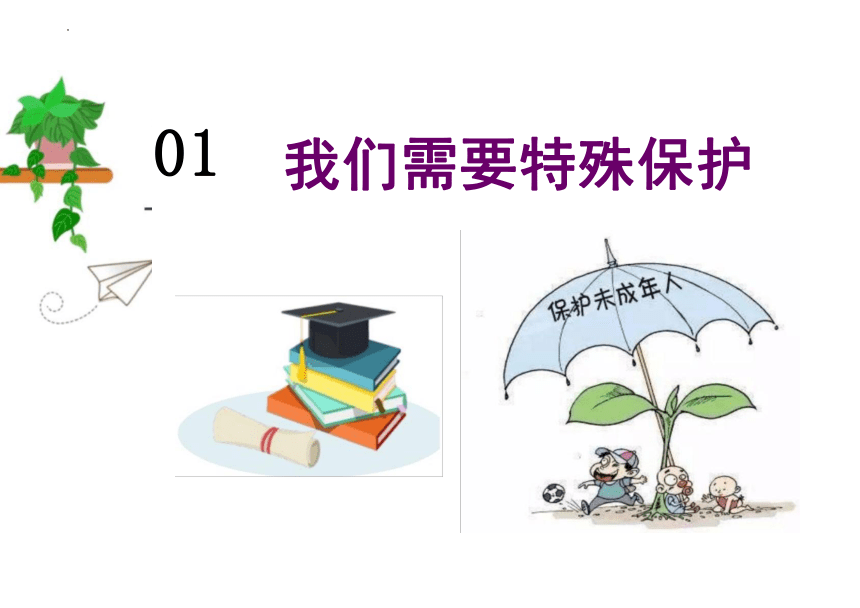 10.1 法律为我们护航 课件(共34张PPT)-统编版道德与法治七年级下册