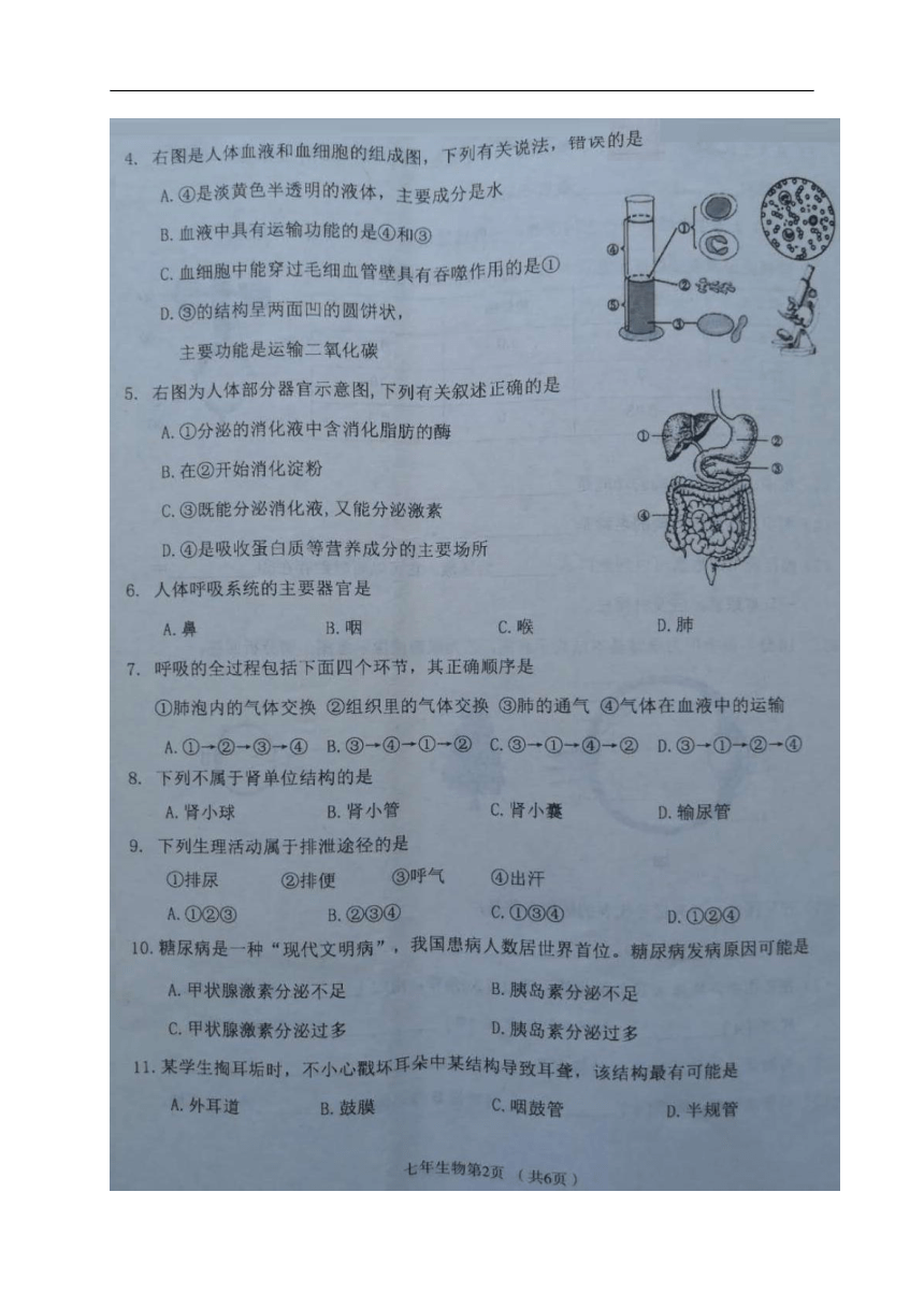 辽宁省西丰县2019-2020学年七年级下学期期末考试生物试题（图片版含答案）