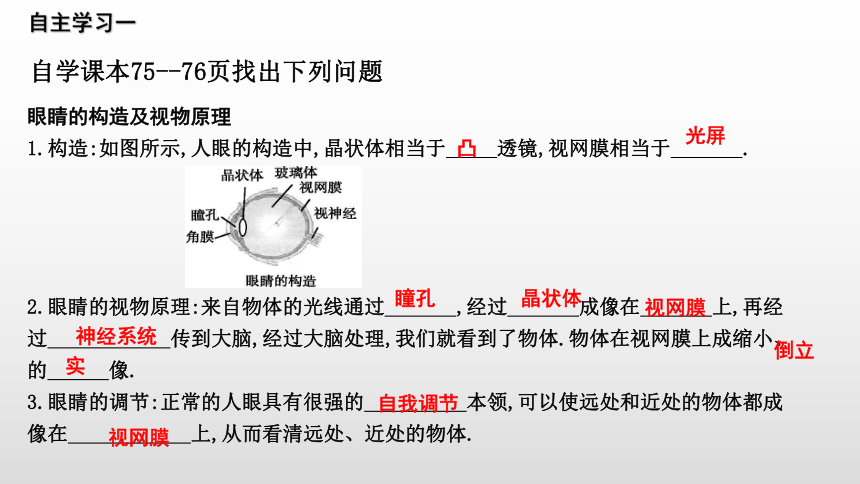 2019年沪科版八年级物理全册课件：4.6 神奇的眼睛（27共PPT）