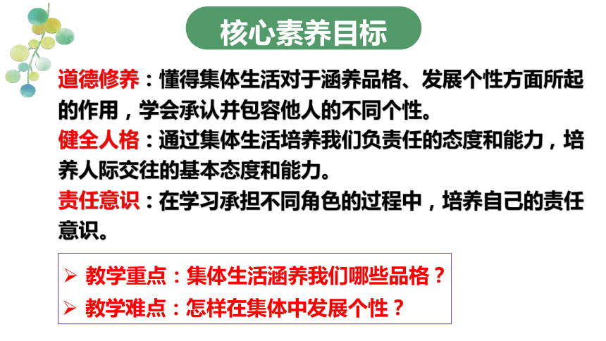 （核心素养目标）6.2  集体生活成就我 课件（共38张PPT）