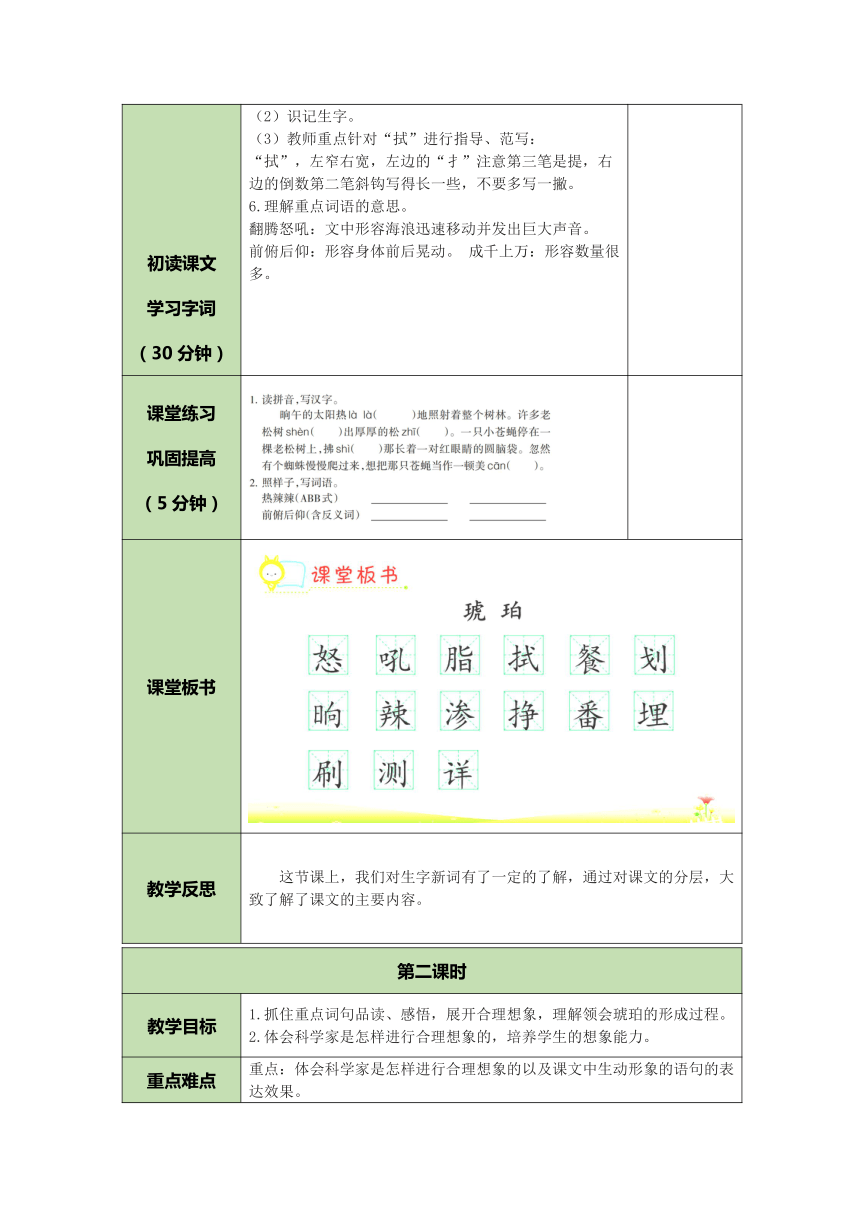 5 琥珀 表格式教案（2课时  含反思）