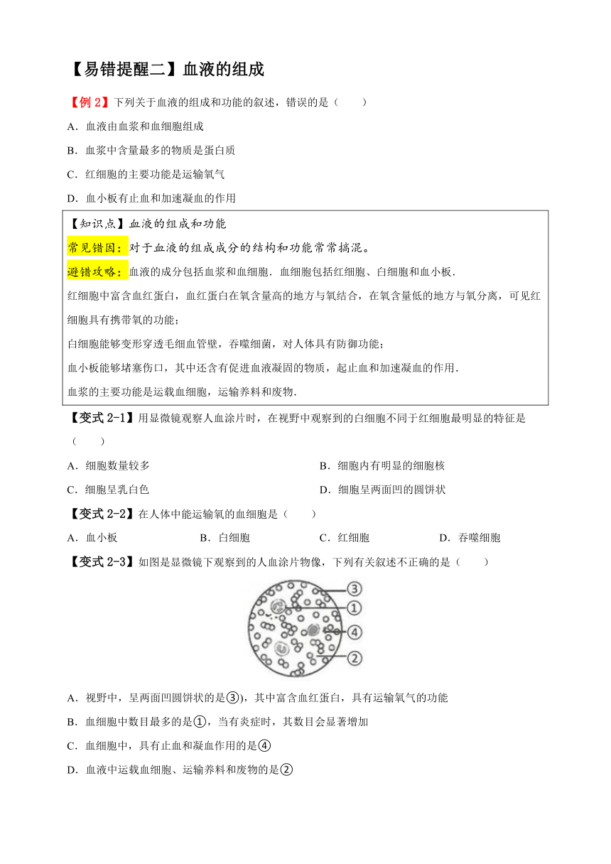 易错点07 人的呼吸、循环和排泄-备战2024年中考生物易错题（含解析）