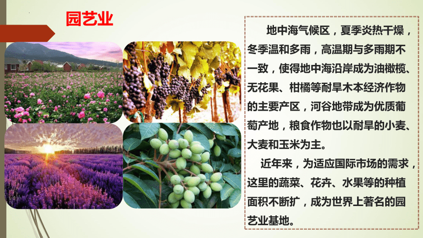 8.2 欧洲西部 第二课时 课件（共35张PPT）2023-2024学年七年级地理下学期人教版