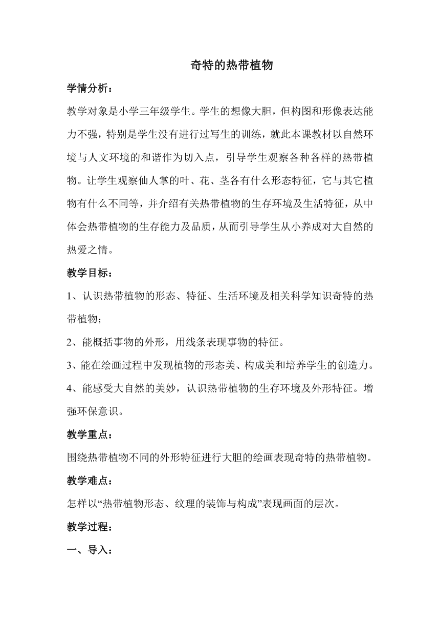 岭南版三年级上册 美术 教案 5.14 奇特的热带植物