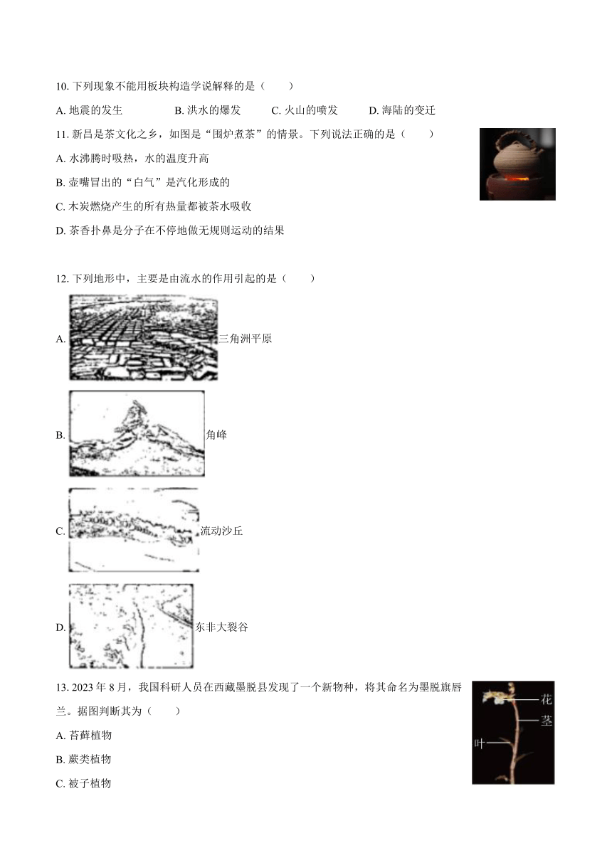 浙江省绍兴市新昌县2023-2024学年七年级（上）期末科学试卷（含解析）