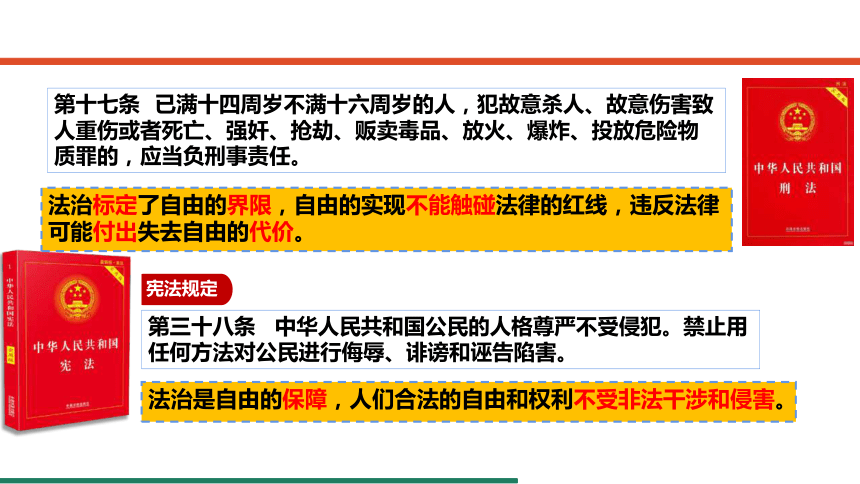 7.1 自由平等的真谛 课件（共20张PPT） 统编版道德与法治八年级下册