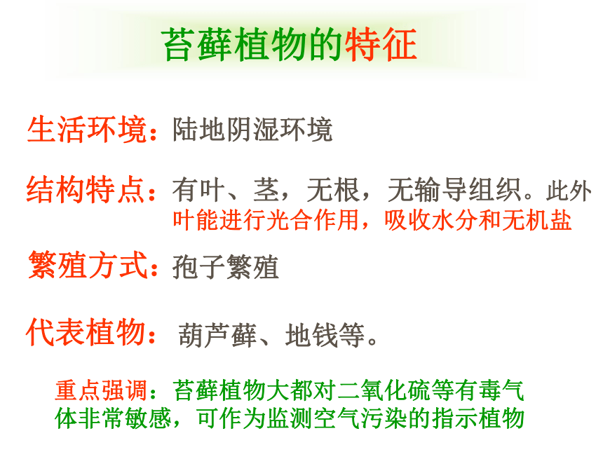 北师大版八年级下册生物《 第7单元 生命的演化 第22章 物种的多样性 第1节 生物的分类》课件（共16张PPT）