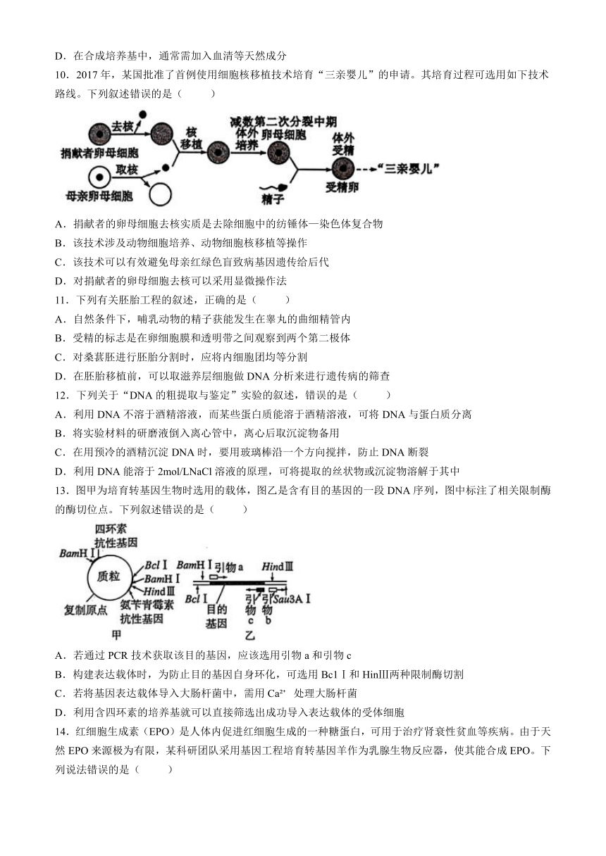 辽宁省部分高中2023-2024学年高二下学期期中考试生物试题(含答案)