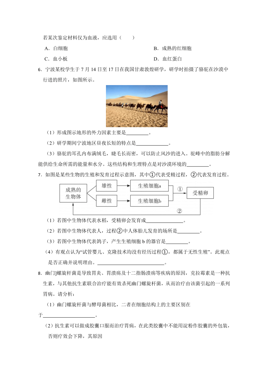 2024年浙江省科学中考考前每日一练 第24卷（含解析）