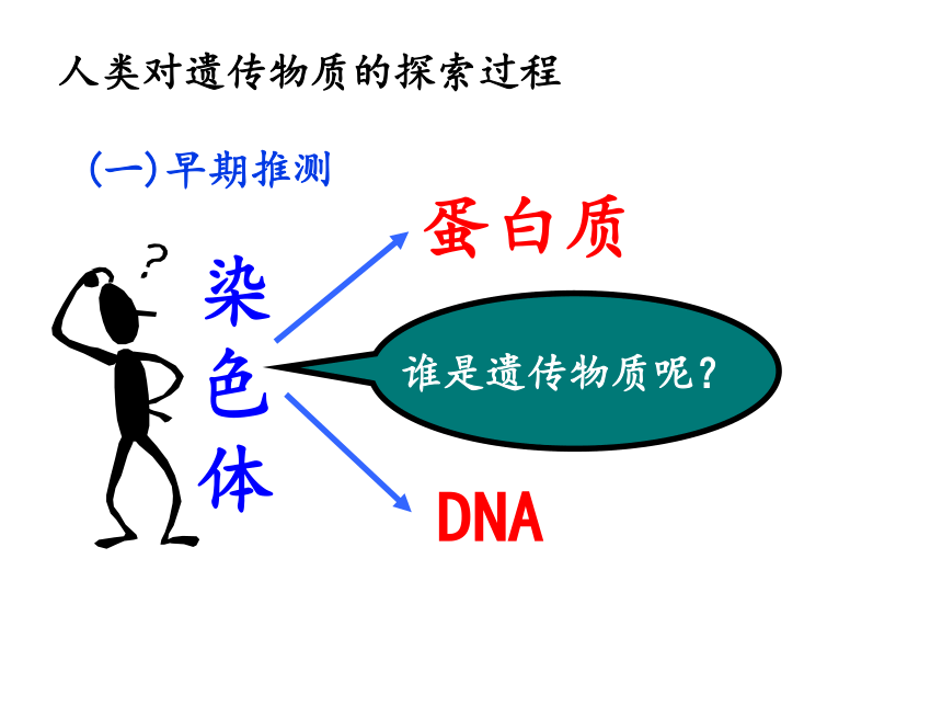 人教版高中生物必修二3-1 DNA是主要的遗传物质（共43张PPT）
