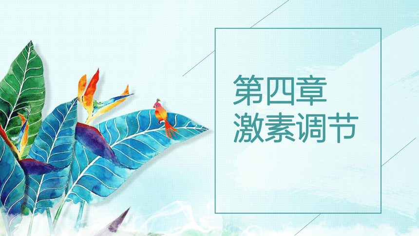 4.6.4激素调节说课课件(共21张PPT)2023-2024学年人教版生物七年级下册