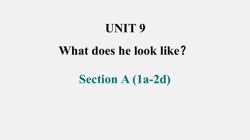 Unit 9 What does he look like? SectionA1a-2d课件（25张PPT） 2023-2024学年人教版七年级英语下册