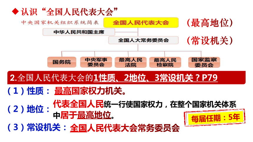 6.1 国家权力机关 课件(共31张PPT)-2023-2024学年统编版道德与法治八年级下册 (1)