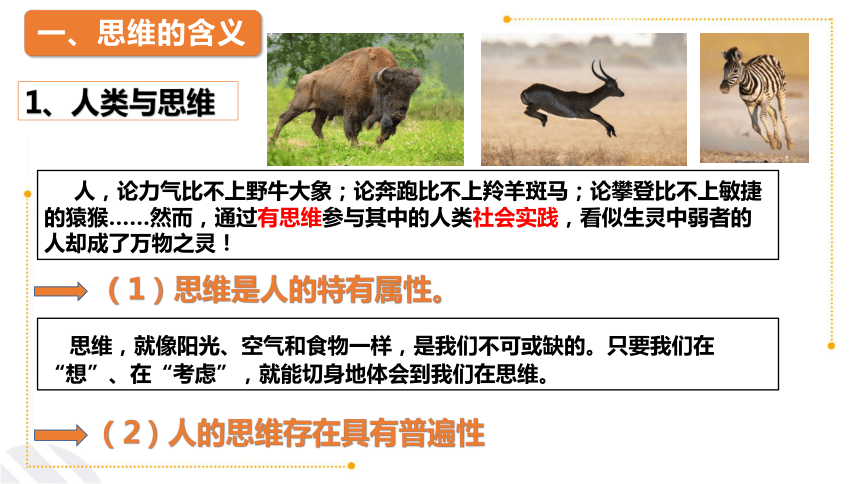 1.1 思维的含义与特征课件(共23张PPT)-2023-2024学年高中政治统编版选择性必修三逻辑与思维