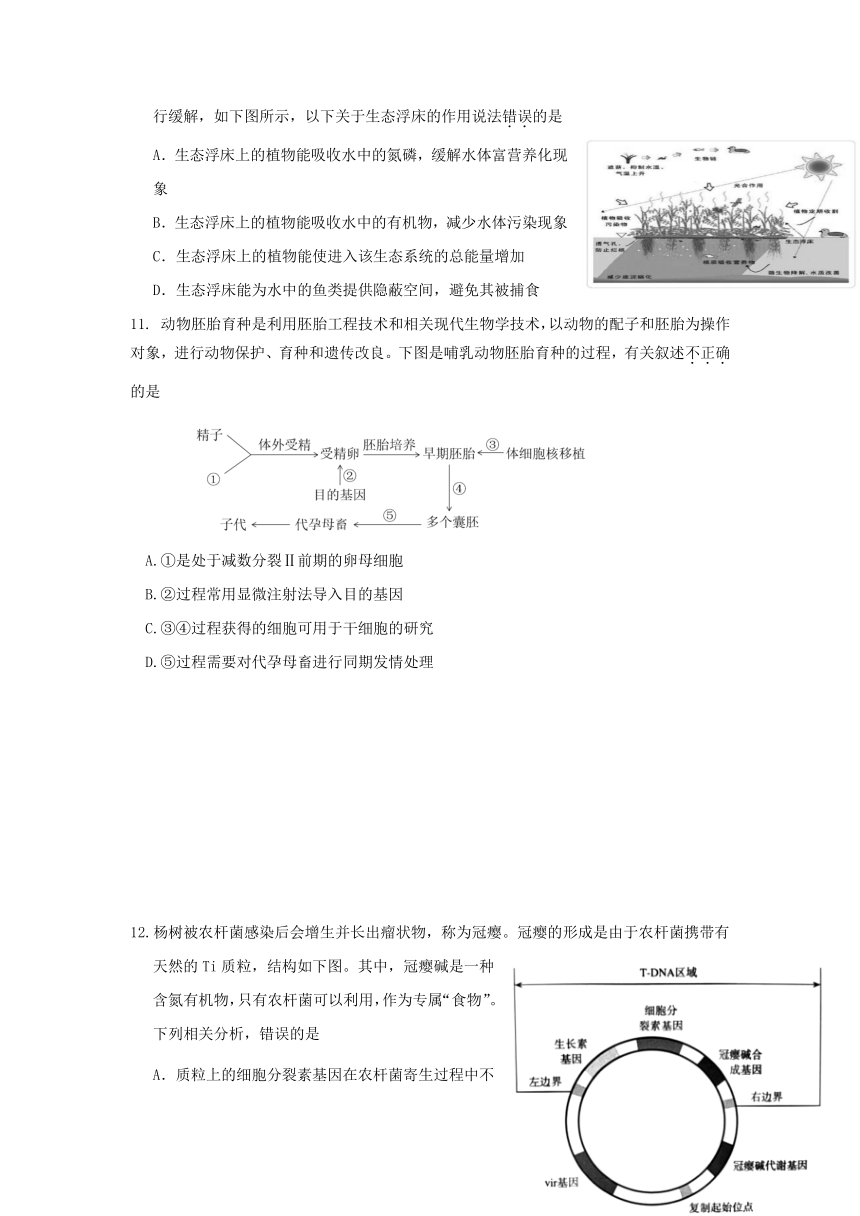 2020年北京高考生物押题试卷二