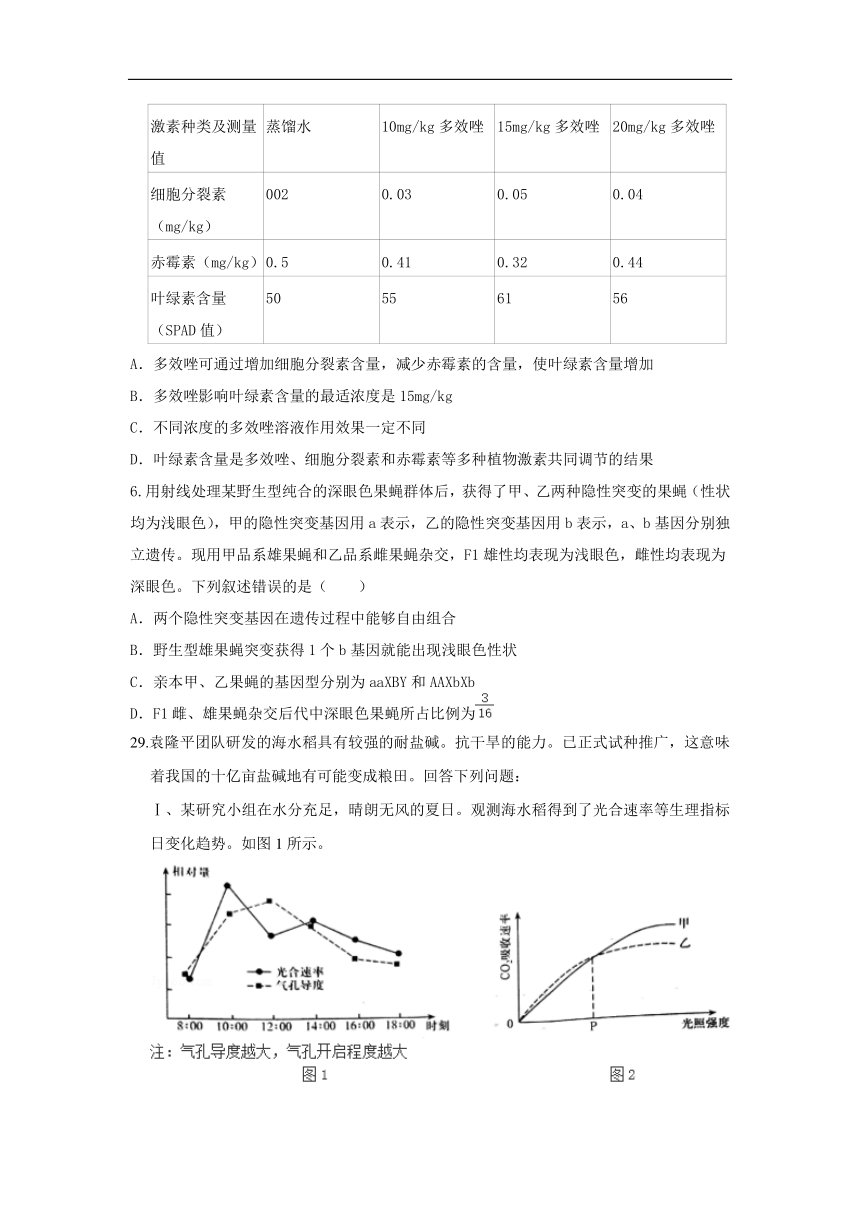 河南省三门峡市外国语高级中学2020届高三模拟（四）考试生物试卷