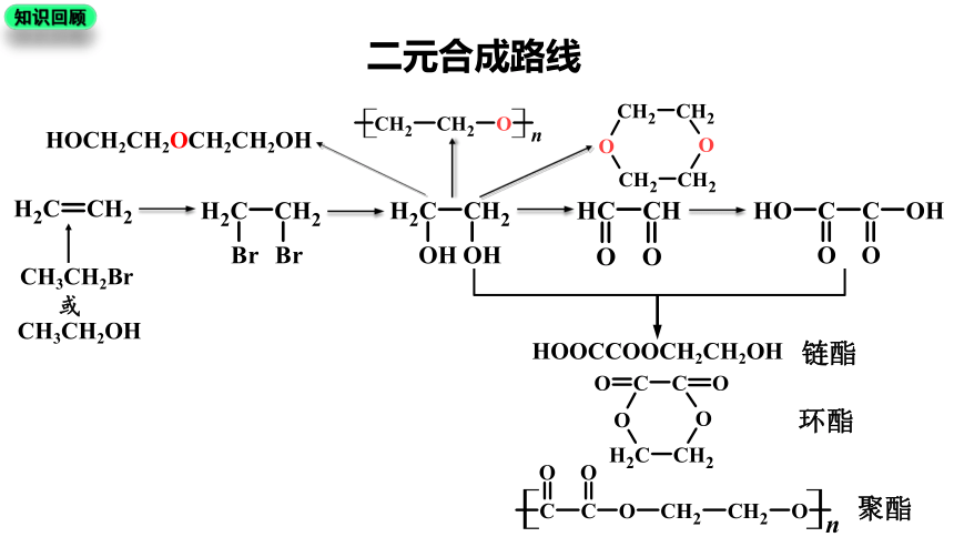 3.5.2 有机合成路线的设计与实施（课件）(共55张PPT)-2023-2024学年高二化学（人教版2019选择性必修3）