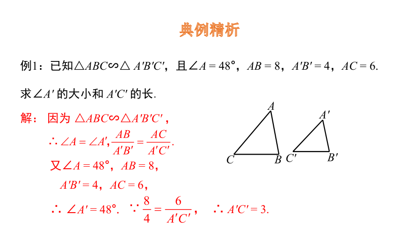 3.3 相似图形  课件(共20张PPT) 2023-2024学年数学湘教版九年级上册
