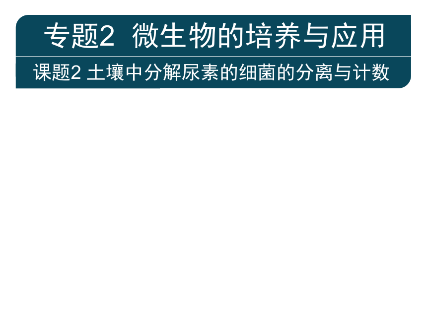 人教版选修1高三生物《专题2课题2土壤中分解尿素的细菌的分离与计数》（共79张PPT）