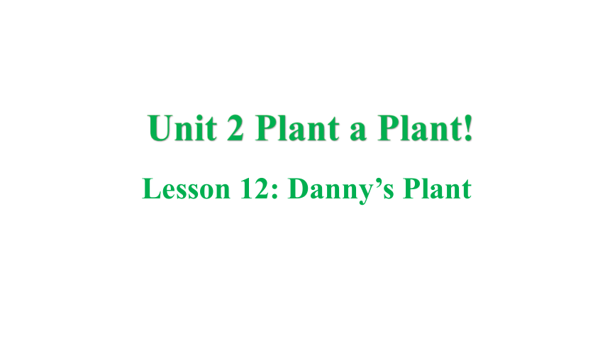 冀教版八年级下册Unit 2 Plant a Plant Lesson 12 Danny's Plant课件(共28张PPT)