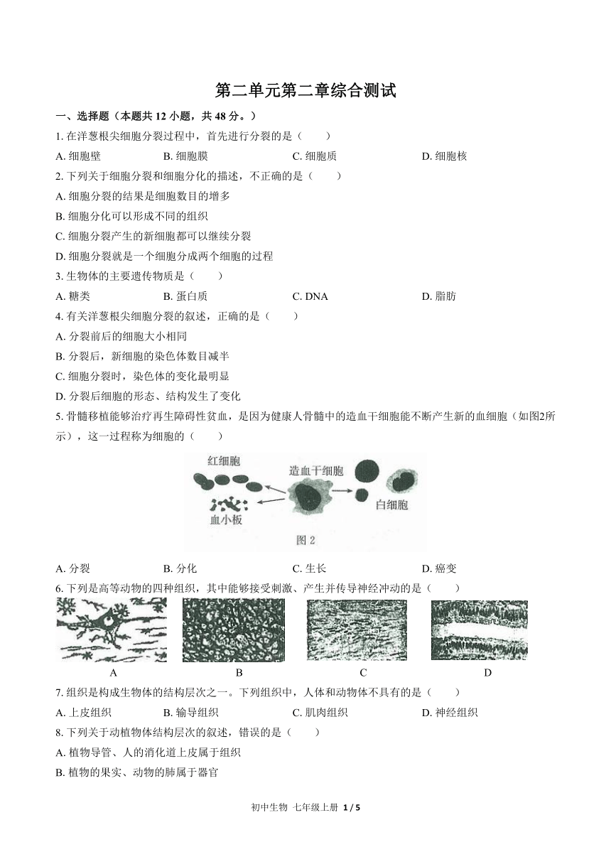 （人教版）初中生物七上 第二单元第二章综合测试（含答案）