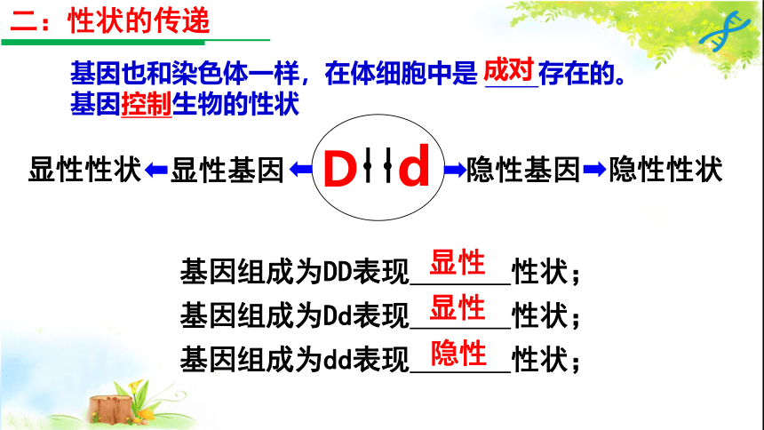 生物的遗传和变异 专题复习课件（22张PPT）