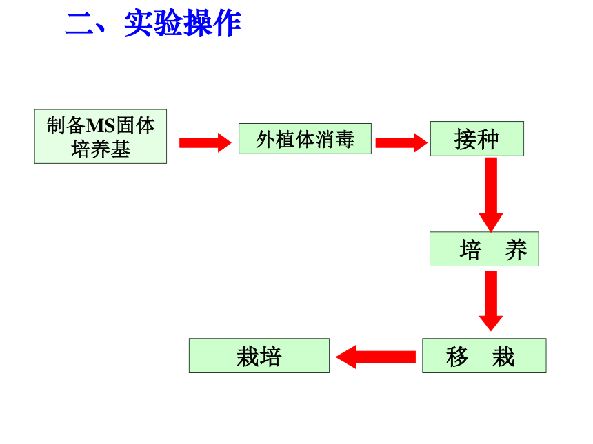 浙科版高中生物选修1第4部分试验11植物的组织培养（共25张PPT）