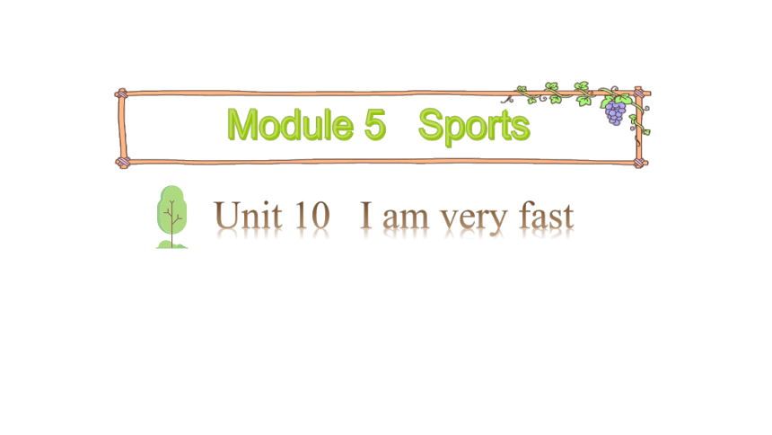 Unit 10  I am very fast 第一课时课件（21张PPT)