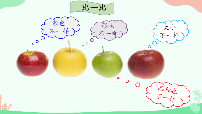 2 不一样的你我他 课件 （39张ppt）+内嵌音视频