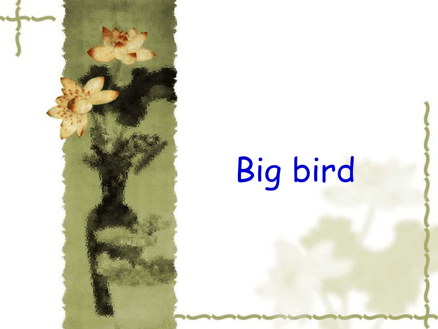 Unit 8 Big bird  课件(共18张PPT)