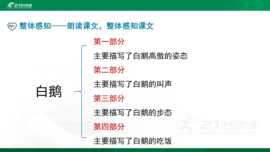 部编四下语文《15白鹅》精品课件(共22PPT)