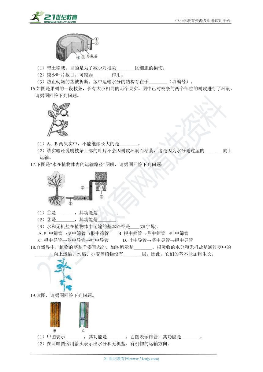 浙教版8年级下册 第4章 植物与土壤 填空题