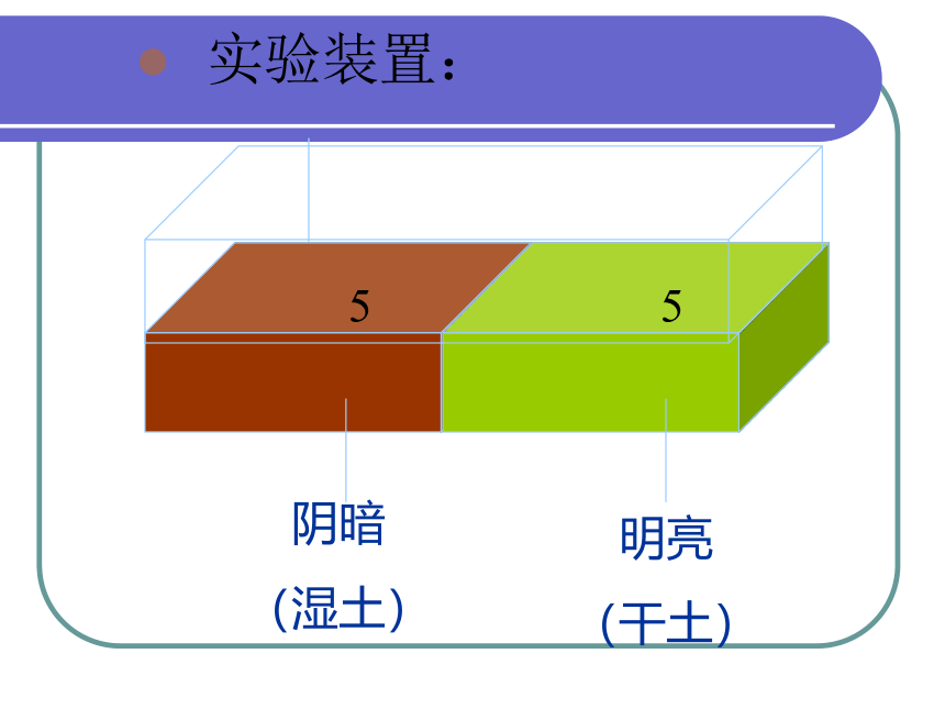 北师大版八下生物 23.1生物的生存依赖一定的环境 课件(38张PPT)