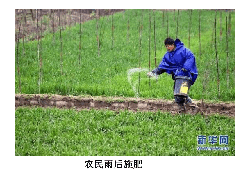 第一节 水分进入植物体内的途径 课件（37张PPT）