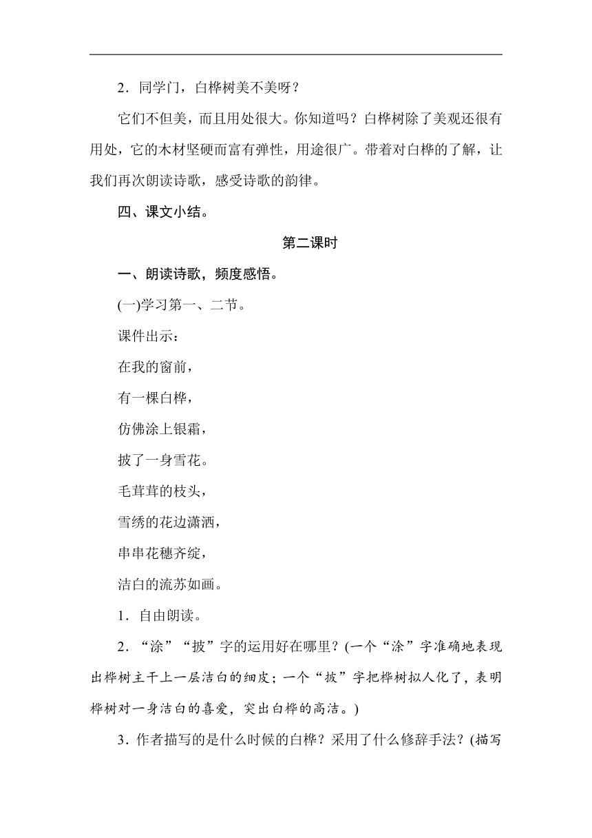 11白桦  教案（2课时含反思）