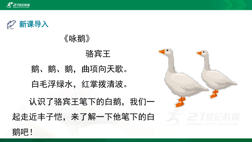 部编四下语文《15白鹅》精品课件(共22PPT)