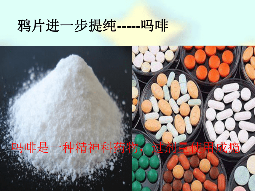 第二节 拒绝毒品 课件（36张PPT）