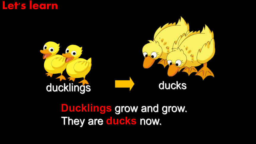 Module 4 Unit 3 Story time（The ugly duckling）Part 1 课件（38张PPT）