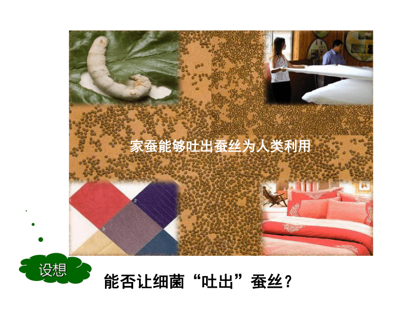 基因工程课件（(共35张PPT)）