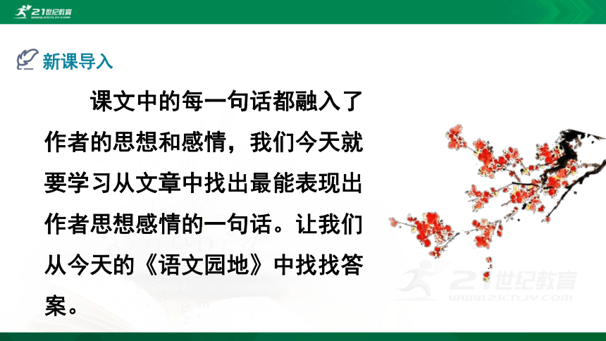 语文统编四下第1单元语文园地一精品课件（共22张PPT）