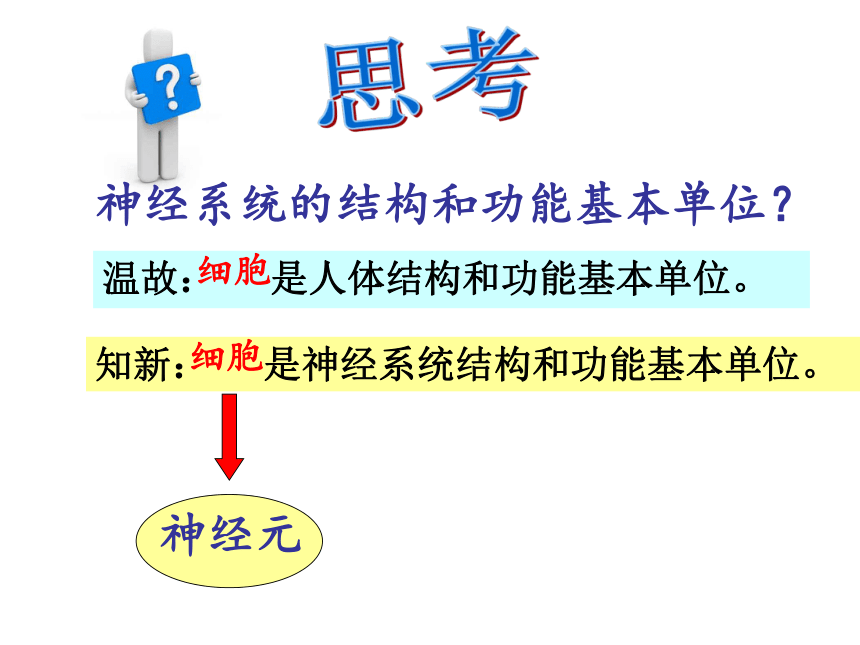 苏教版生物七下12.2《人体的神经调节》课件（共24张PPT）