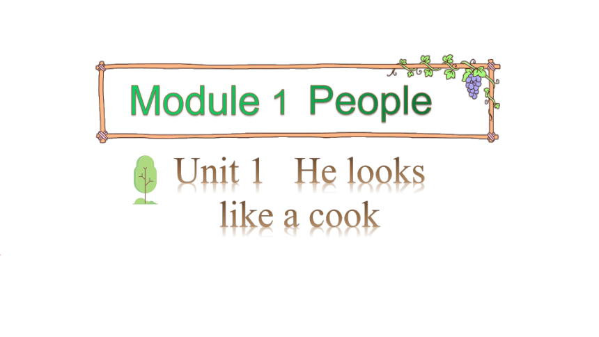 Module 1  Unit 1 He looks like a cook 课件（29张PPT)