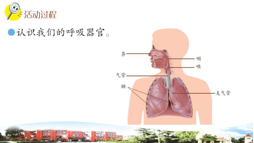 青岛版小学科学三年级下册20我们的呼吸教学课件（(共10张PPT)）