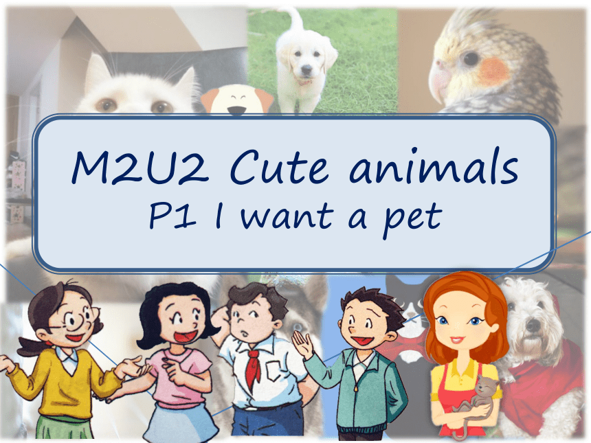 Module 2 Unit 2 Cute animals Period 1（I want a pet）课件（42张，内嵌音视频）