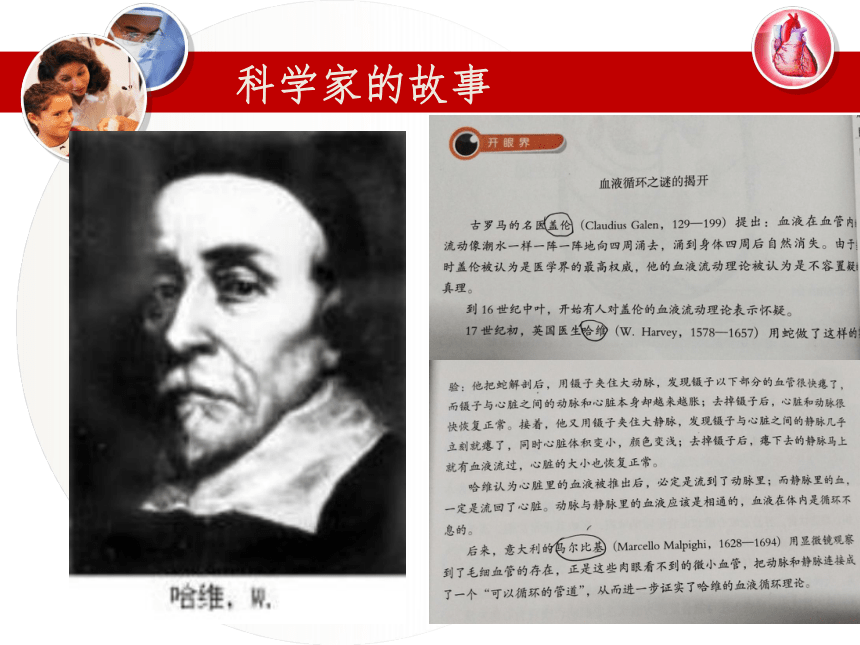 冀教版七年级下册第二单元第二章 第三节 物质运输的路线 课件（共22张PPT）