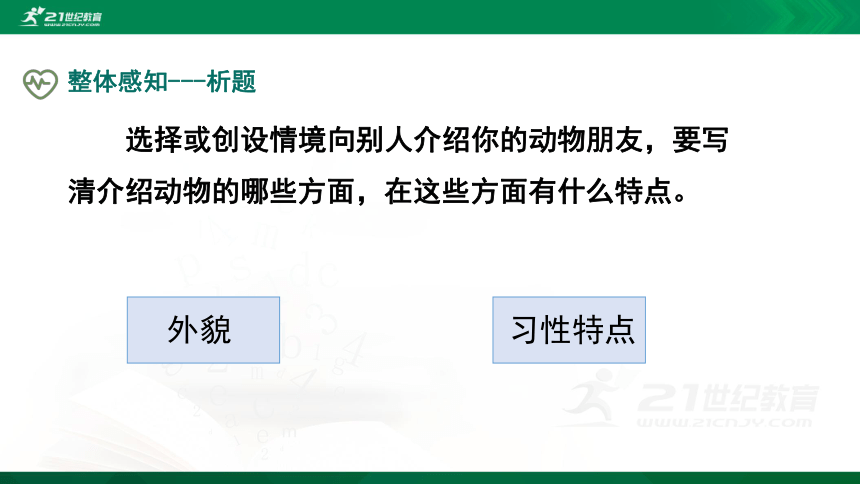 部编四下语文《习作：我的动物朋友》精品课件(共24PPT)