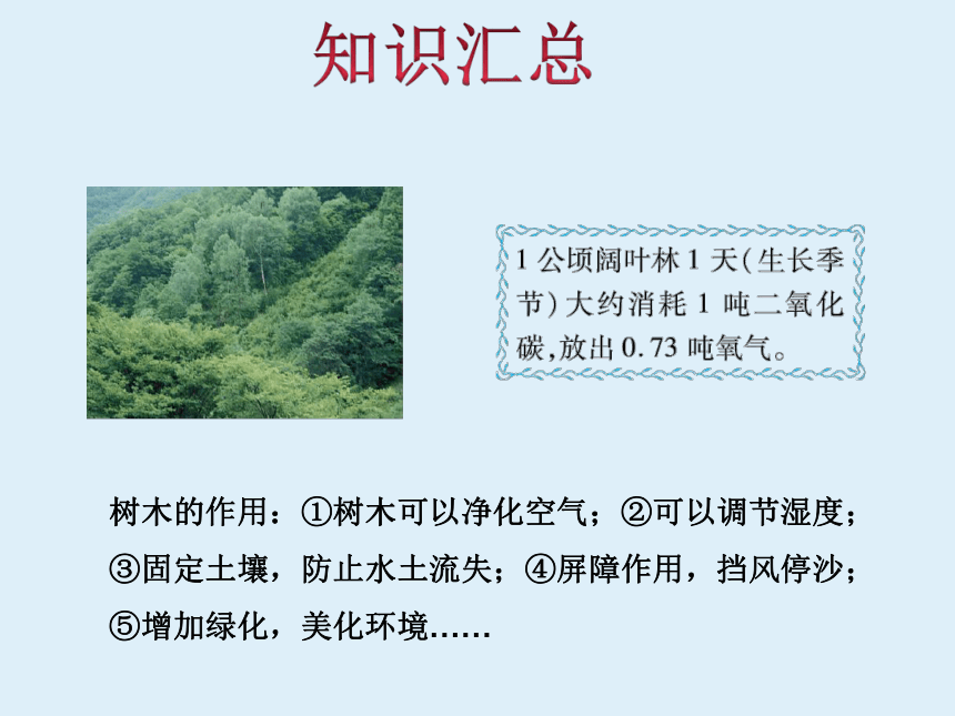 冀教版六下数学回顾与整理：开发绿色资源教学课件（34张）