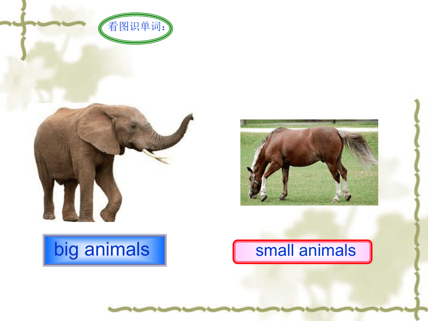 Unit 8 Big bird  课件(共18张PPT)