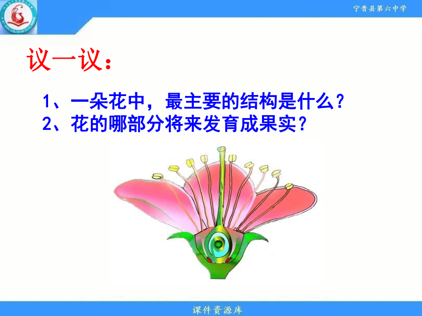 冀教版八年级下册第六单元  生物的繁衍和发展第一章  第一节 被子植物的生殖 有性生殖 课件（18张PPT）