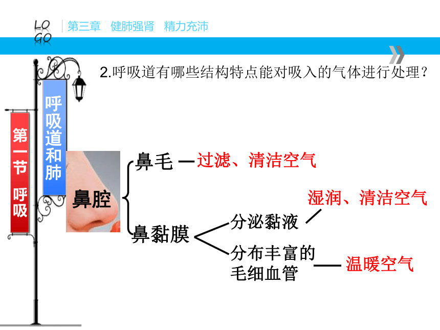 冀教版  七年级下册  第二单元 第三章第一节 呼吸 课件（29张PPT）